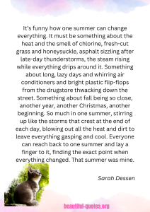 Sarah Dessen - that Summer - Christmas 