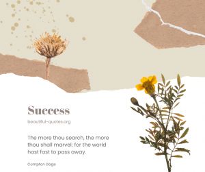 The More You Seek, The More You Marvel: Reflections on Life’s Transience