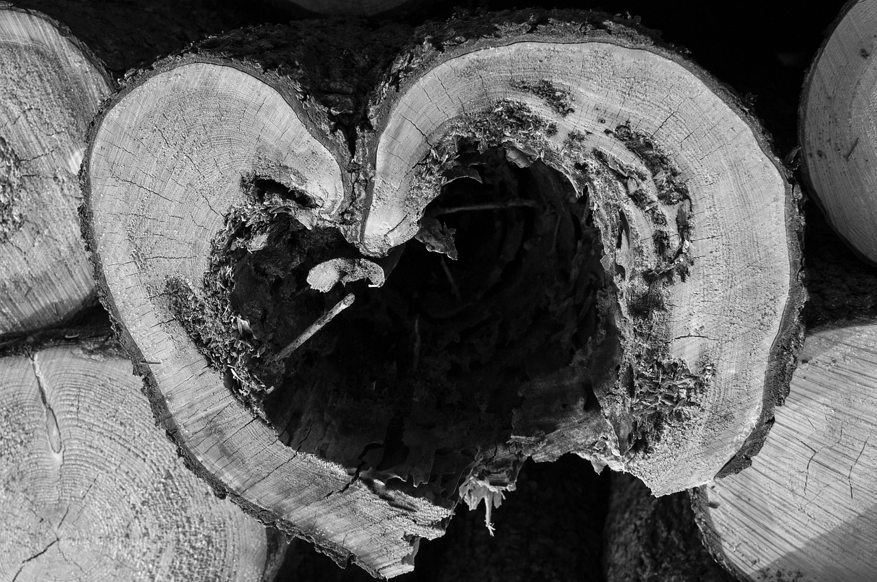 Inspirational Image: How Sweet It Is: Jackie Gleason on Enjoying Life