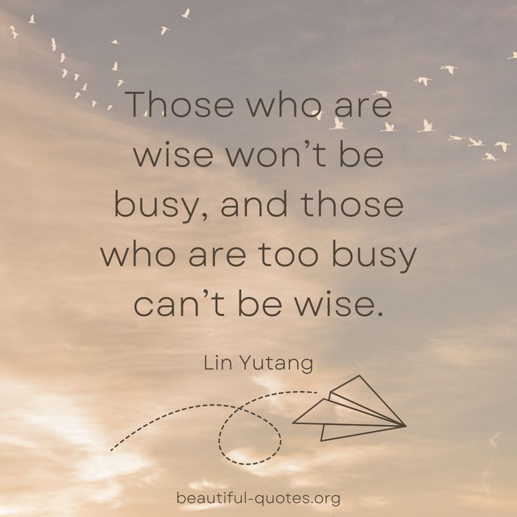 busy, chinese philosopher, philosophy, philosophy life, wise 🦋 beautiful quotes